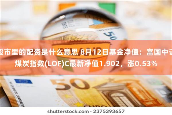 股市里的配资是什么意思 8月12日基金净值：富国中证煤炭指数(LOF)C最新净值1.902，涨0.53%