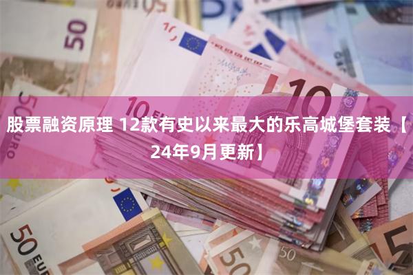 股票融资原理 12款有史以来最大的乐高城堡套装【24年9月更新】