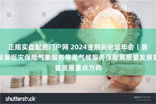 正规实盘配资门户网 2024金融街论坛年会丨袁佳双：发展巨灾保险气象服务等是气候服务保险高质量发展重点方向