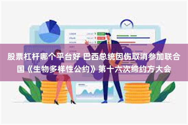 股票杠杆哪个平台好 巴西总统因伤取消参加联合国《生物多样性公约》第十六次缔约方大会