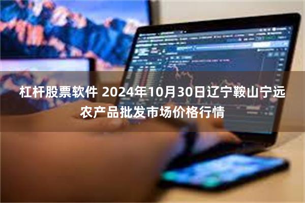 杠杆股票软件 2024年10月30日辽宁鞍山宁远农产品批发市场价格行情