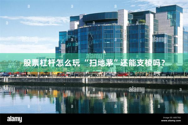 股票杠杆怎么玩 “扫地茅”还能支棱吗？