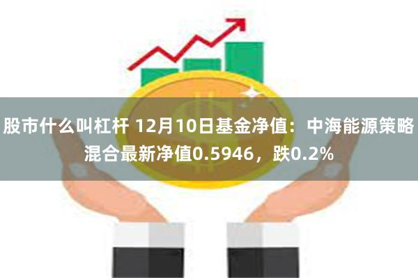 股市什么叫杠杆 12月10日基金净值：中海能源策略混合最新净值0.5946，跌0.2%
