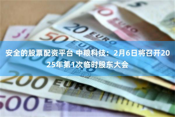 安全的股票配资平台 中粮科技：2月6日将召开2025年第1次临时股东大会