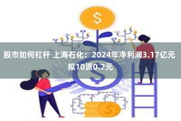 股市如何杠杆 上海石化：2024年净利润3.17亿元 拟10派0.2元