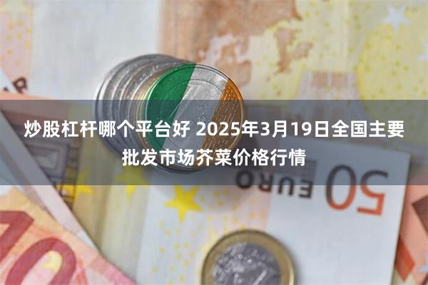炒股杠杆哪个平台好 2025年3月19日全国主要批发市场芥菜价格行情
