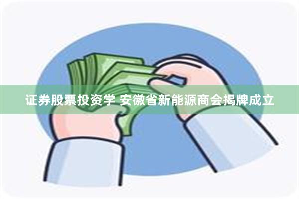证券股票投资学 安徽省新能源商会揭牌成立