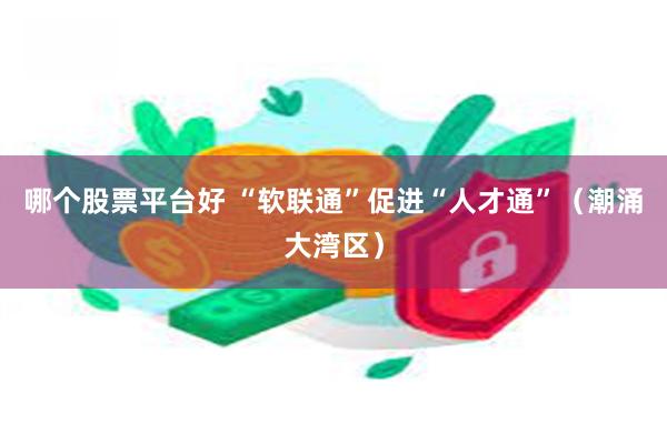 哪个股票平台好 “软联通”促进“人才通”（潮涌大湾区）
