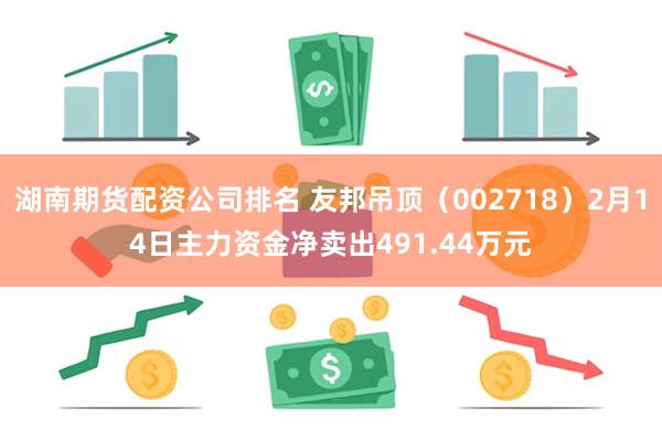 湖南期货配资公司排名 友邦吊顶（002718）2月14日主力资金净卖出491.44万元