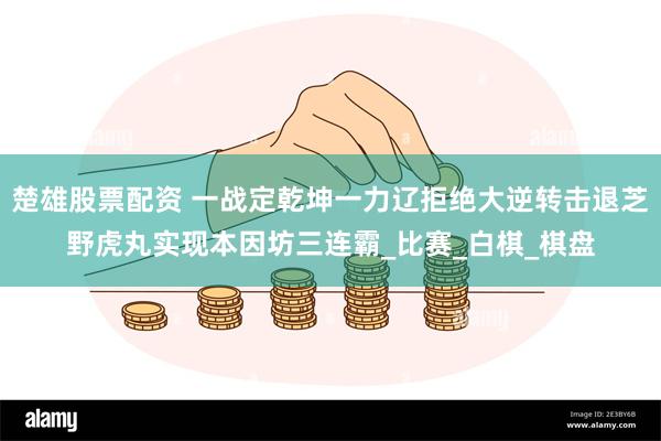 楚雄股票配资 一战定乾坤一力辽拒绝大逆转击退芝野虎丸实现本因