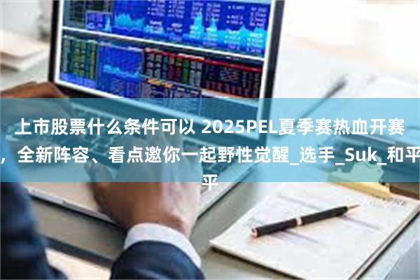 上市股票什么条件可以 2025PEL夏季赛热血开赛，全新阵容