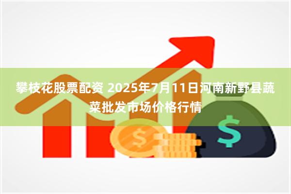 攀枝花股票配资 2025年7月11日河南新野县蔬菜批发市场价