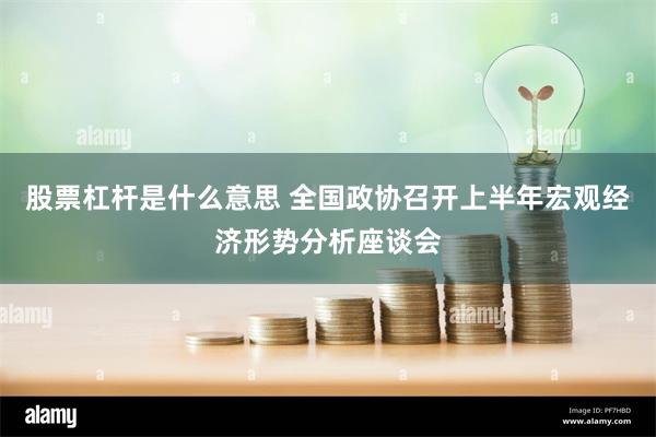股票杠杆是什么意思 全国政协召开上半年宏观经济形势分析座谈会