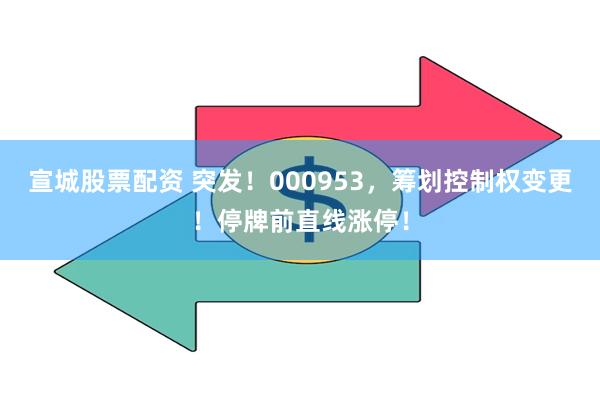 宣城股票配资 突发！000953，筹划控制权变更！停牌前直线