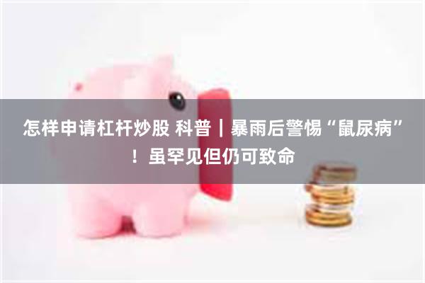 怎样申请杠杆炒股 科普｜暴雨后警惕“鼠尿病”！虽罕见但仍可致