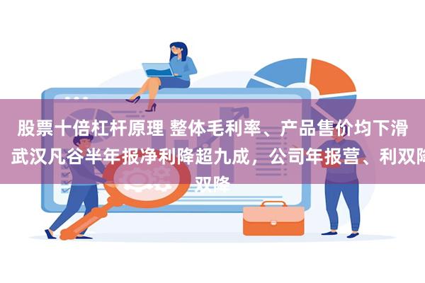 股票十倍杠杆原理 整体毛利率、产品售价均下滑，武汉凡谷半年报